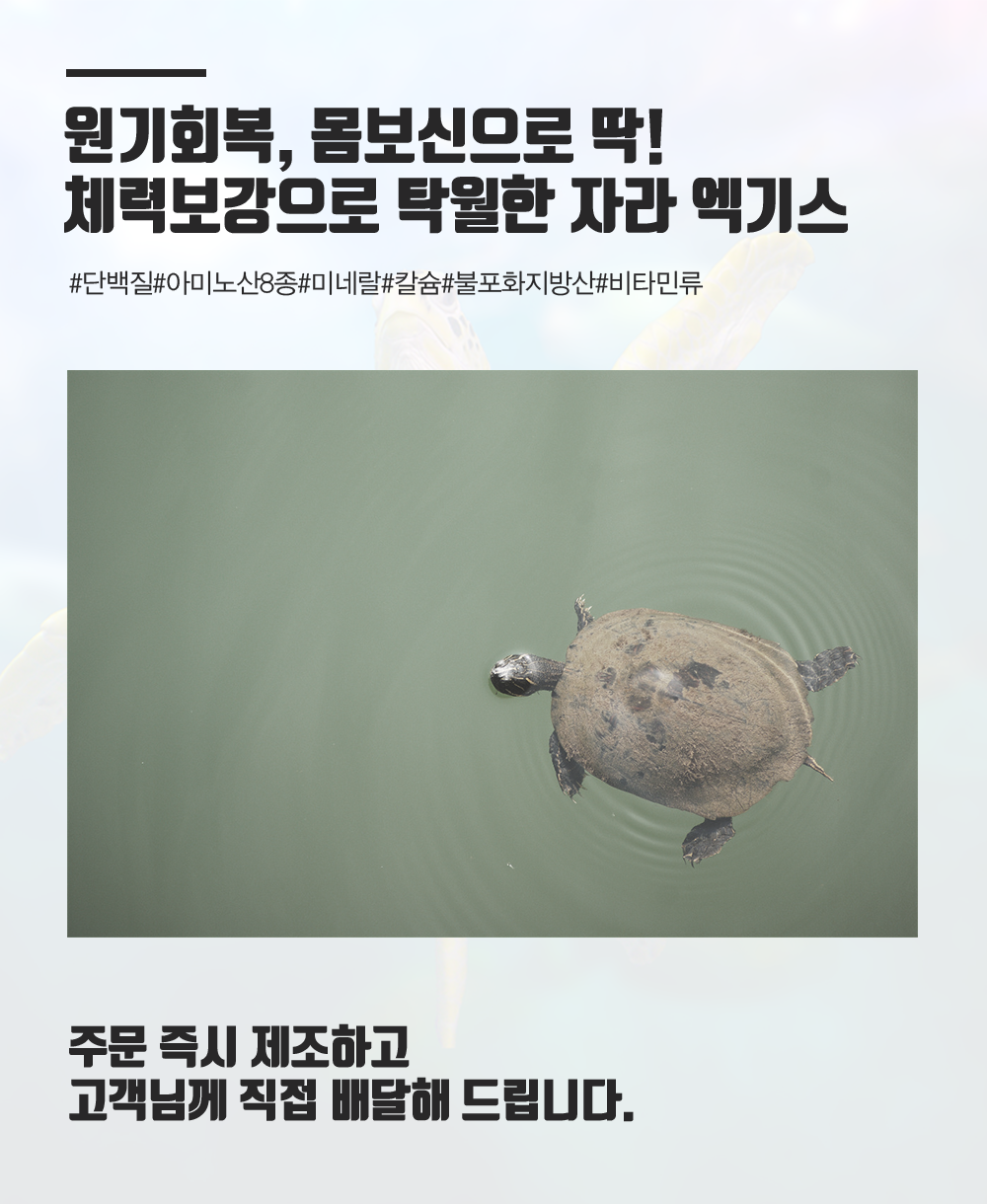 운동선수 환자 기력회복 원기회복 자라즙 자라 엑기스 진액 30포 - 상세 이미지 2
