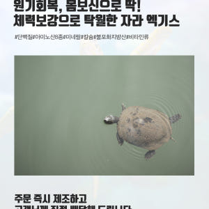 운동선수 환자 기력회복 원기회복 자라즙 자라 엑기스 진액 110ml, 3... 맛있게 먹은 솔직 후기 - 상품 이미지 2