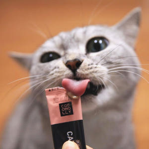 코코몰리 고양이 구강 헤어볼 구내염 면역력 영양제 1개월 (10g x 3... 솔직 후기 | 실제 사용자 리뷰 총정리 - 상품 이미지 4