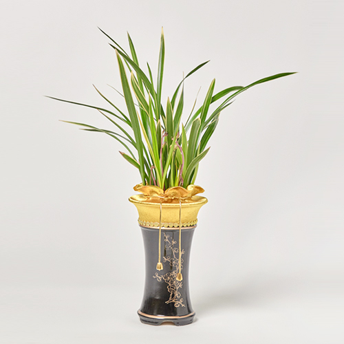 고급 동양란 황룡금 축하 회장님 선물 럭셔리 진급화분