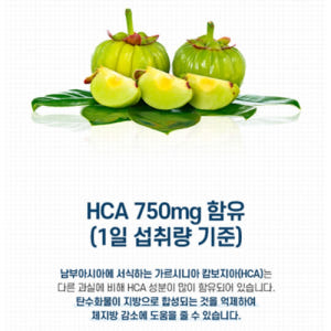 닥터브라이언 가르시니아 캄보지아 비타민B 컴플렉스 HCA 체지방 복부지방... 맛있게 먹은 솔직 후기 - 상품 이미지 3