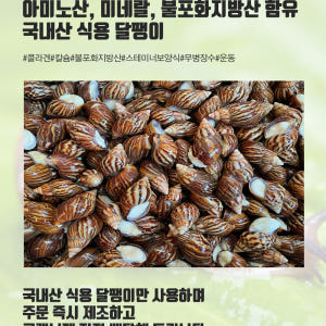 식용 달팽이즙 달팽이 엑기스 진액 기력회복 원기회복 60포, 1개 맛있게 먹은 솔직 후기 - 상품 이미지 4