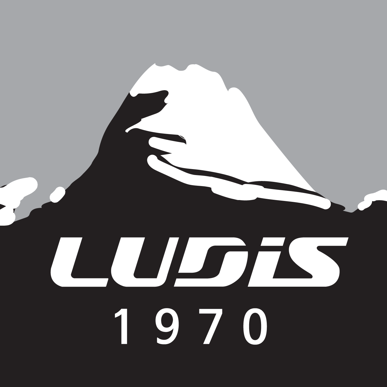 루디스몰 스토어 로고