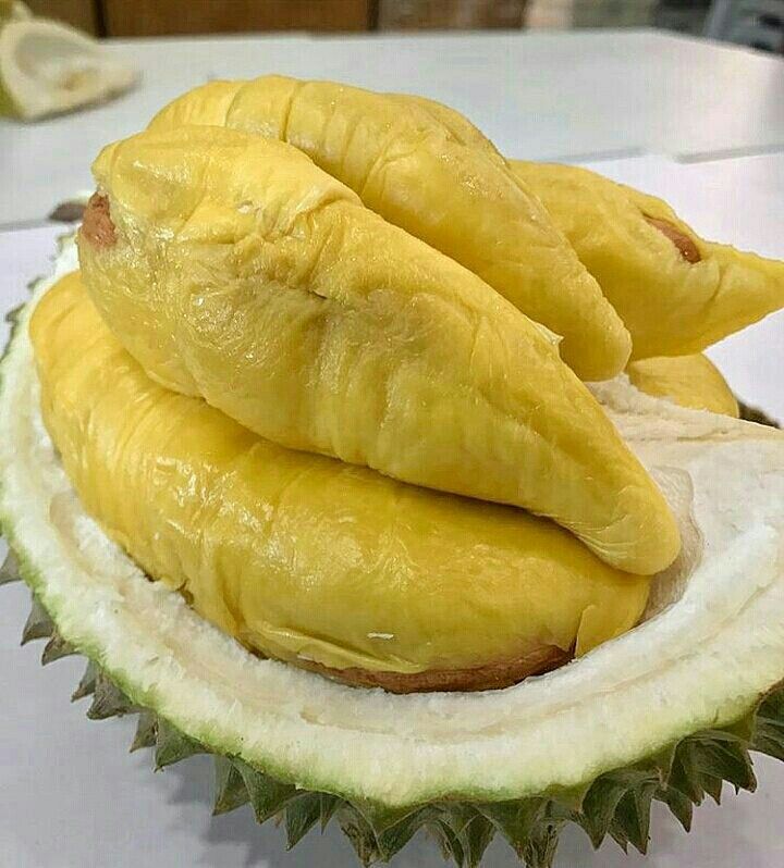 과일의 황제 태국 항공수입 통두리안 생두리안 몬통 두리안 통 생과 냉동 - 상세 이미지 3