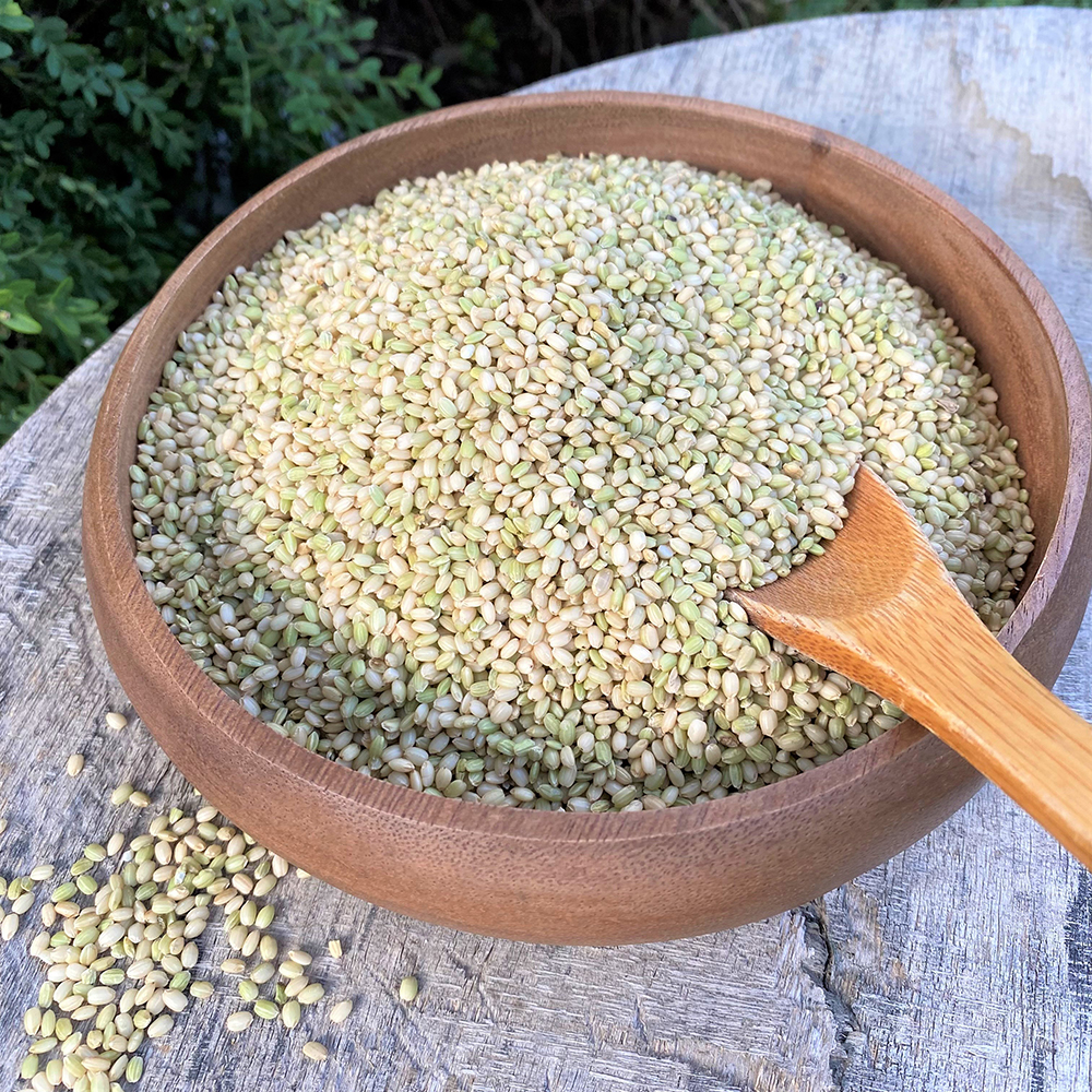 유기농 찰 녹미 쌀 1kg, 1개 - 상세 이미지 3