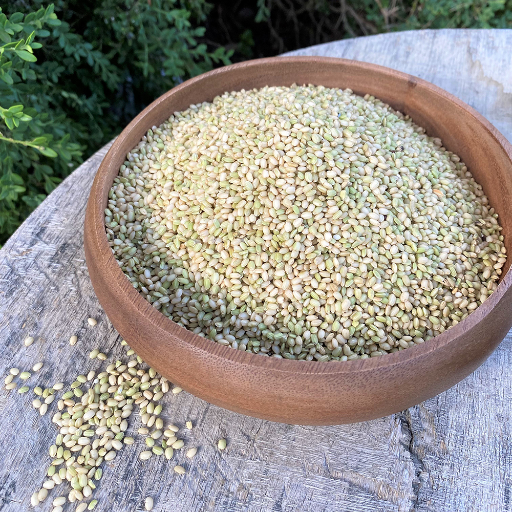 유기농 찰 녹미 쌀 1kg, 1개 - 상세 이미지 4