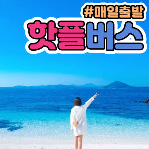 제주도 버스투어 우도관광 일일여행 패키지 놀거리 우도전기차 스쿠터 액티비... 솔직 후기 | 실사용자 리뷰 분석 - 상품 이미지 1