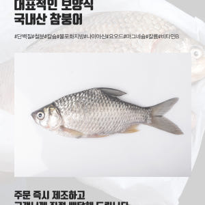운동선수 보양식 참 붕어즙 붕어 엑기스 액기스 진액 30포 기력회복 원기... 맛있게 먹은 솔직 후기 - 상품 이미지 2