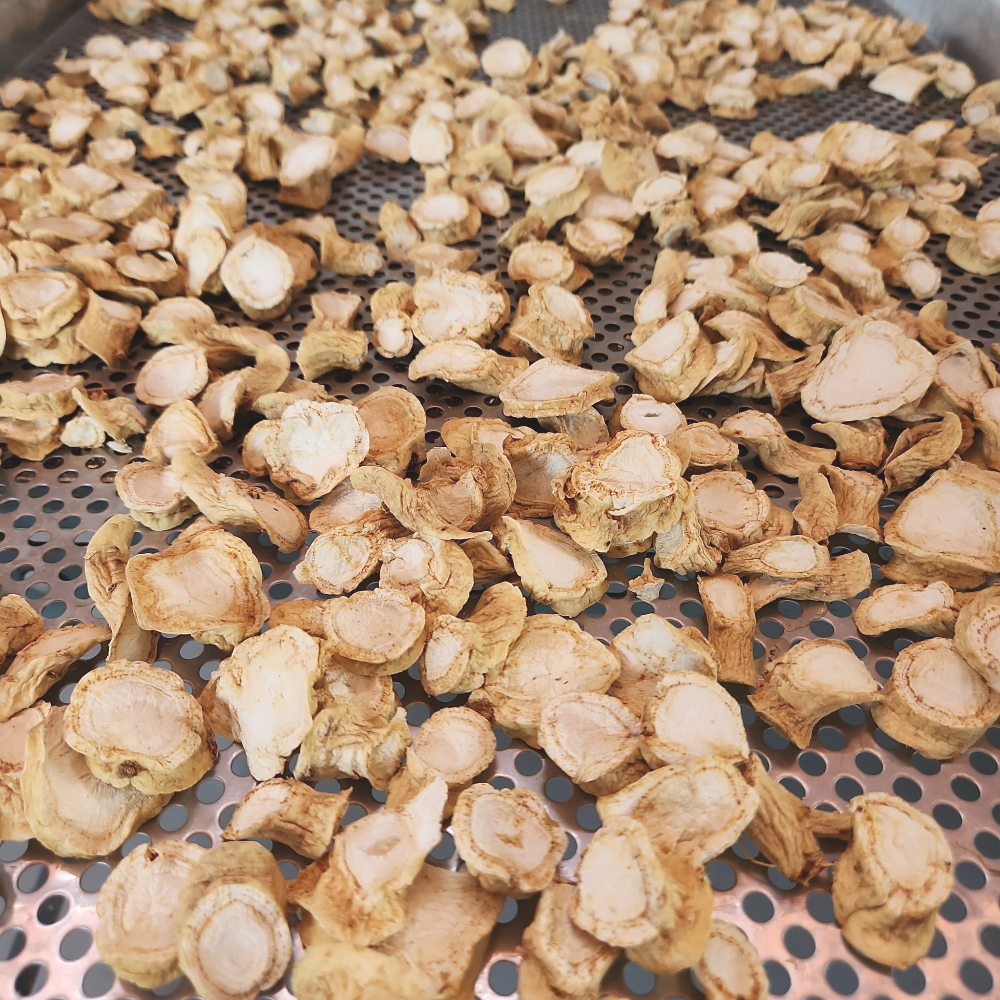 고려인삼 건삼 말린인삼 백삼 절편 300g - 상세 이미지 5