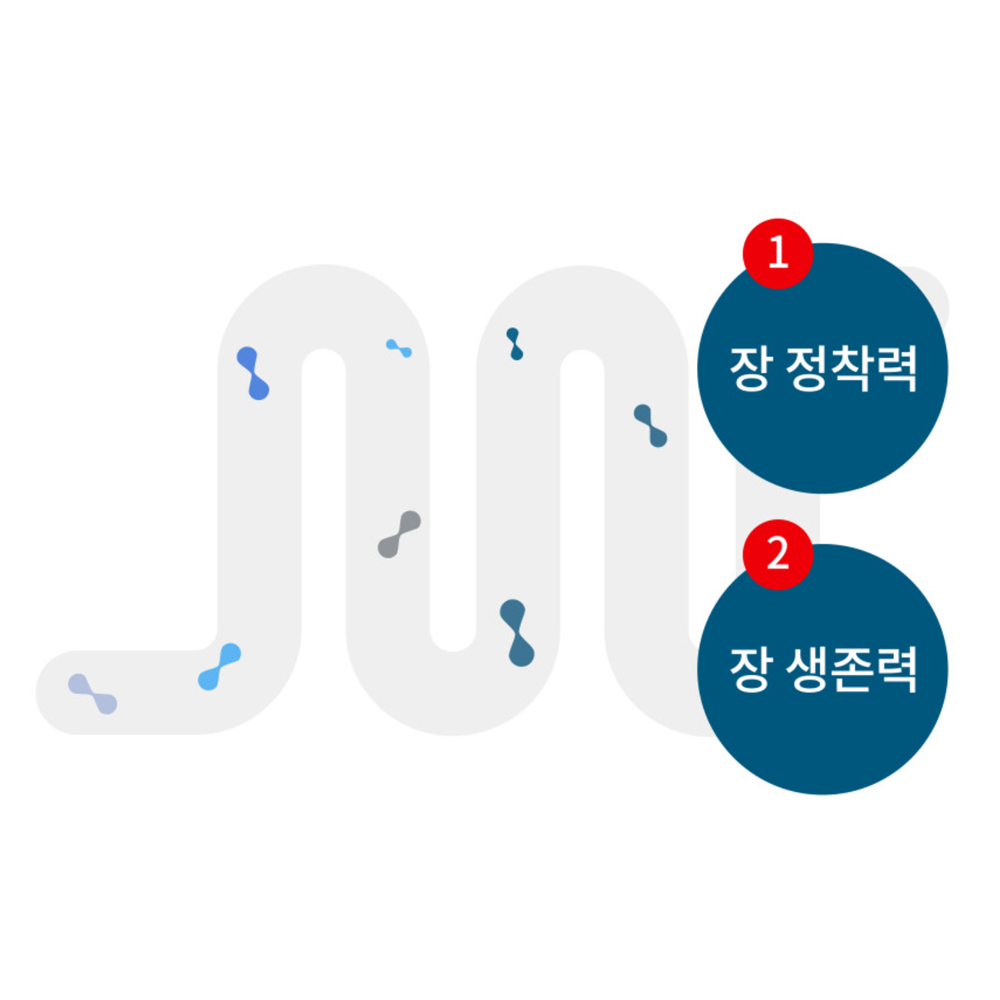 덴마크 유산균이야기 베이직 유통기한27년6월3일 30포, 1개 - 상세 이미지 3