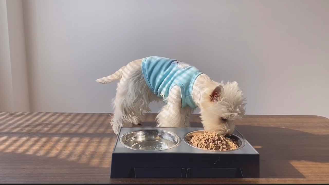 높이조절 강아지 밥그릇 대형견 물그릇 강아지식탁 애견식기