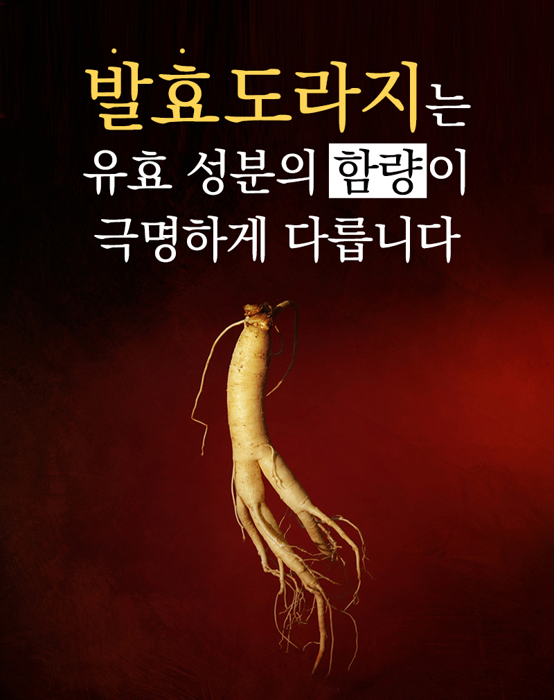 실속있는 도라지환