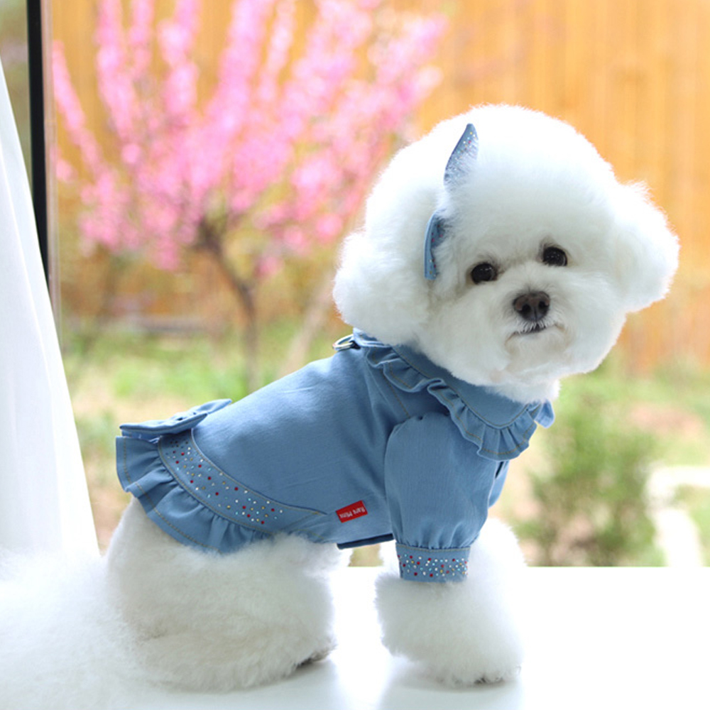 개과천선 레이스청자켓 강아지 하네스 옷 티셔츠 원피스