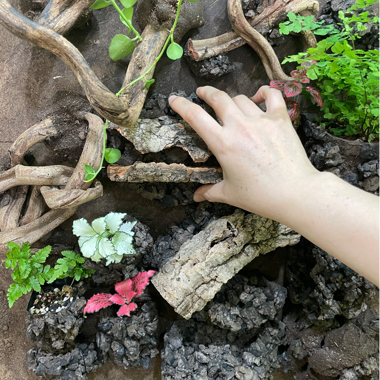 테라블록 스토어 스토어 로고