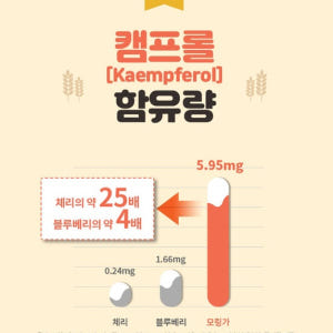 인도산 모링가 잎 분말 인도 모링가 가루 파우더 모린가 모랑가 맛있게 먹은 솔직 후기 - 상품 이미지 3