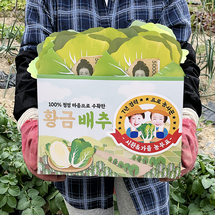 포토 용돈봉투 황금배추 돈 이벤트 토퍼 부모님 선물 상자 다발 축하 머니롤 머니케이스 한명 여아 남아 칠순 팔순 추석 행사 명절 기념일 이미지 6