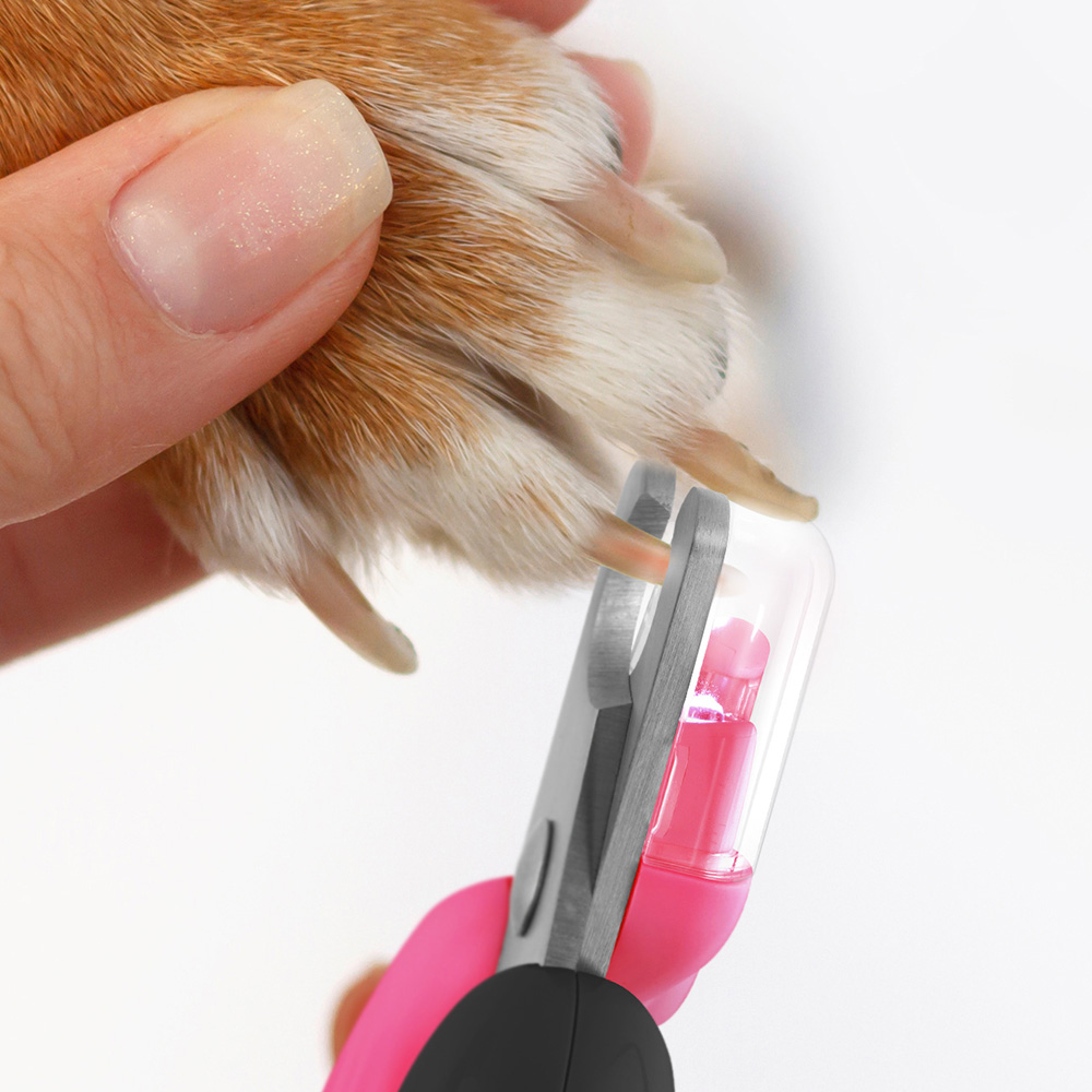 바비온 강아지 고양이 안전 LED 고래 발톱 깎이