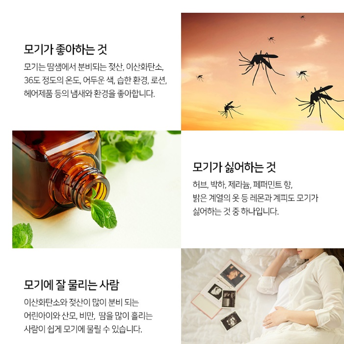 가정용 포충등 아파트 포충기 벌레 유인등 사무실 모기 퇴치 LED 이미지 8