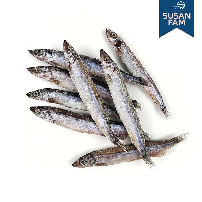 알배기 열빙어 500g (약25미) 시사모 특대 - 상세 이미지 2