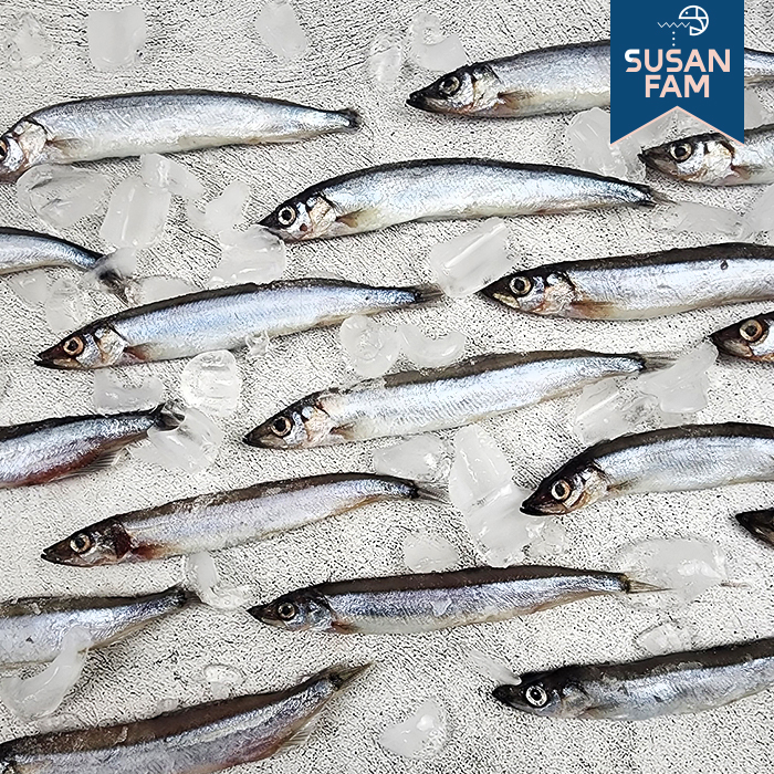 알배기 열빙어 500g (약25미) 시사모 특대 - 상세 이미지 5