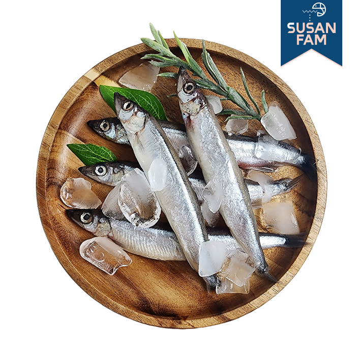 알배기 열빙어 500g (약25미) 시사모 특대 - 상세 이미지 3