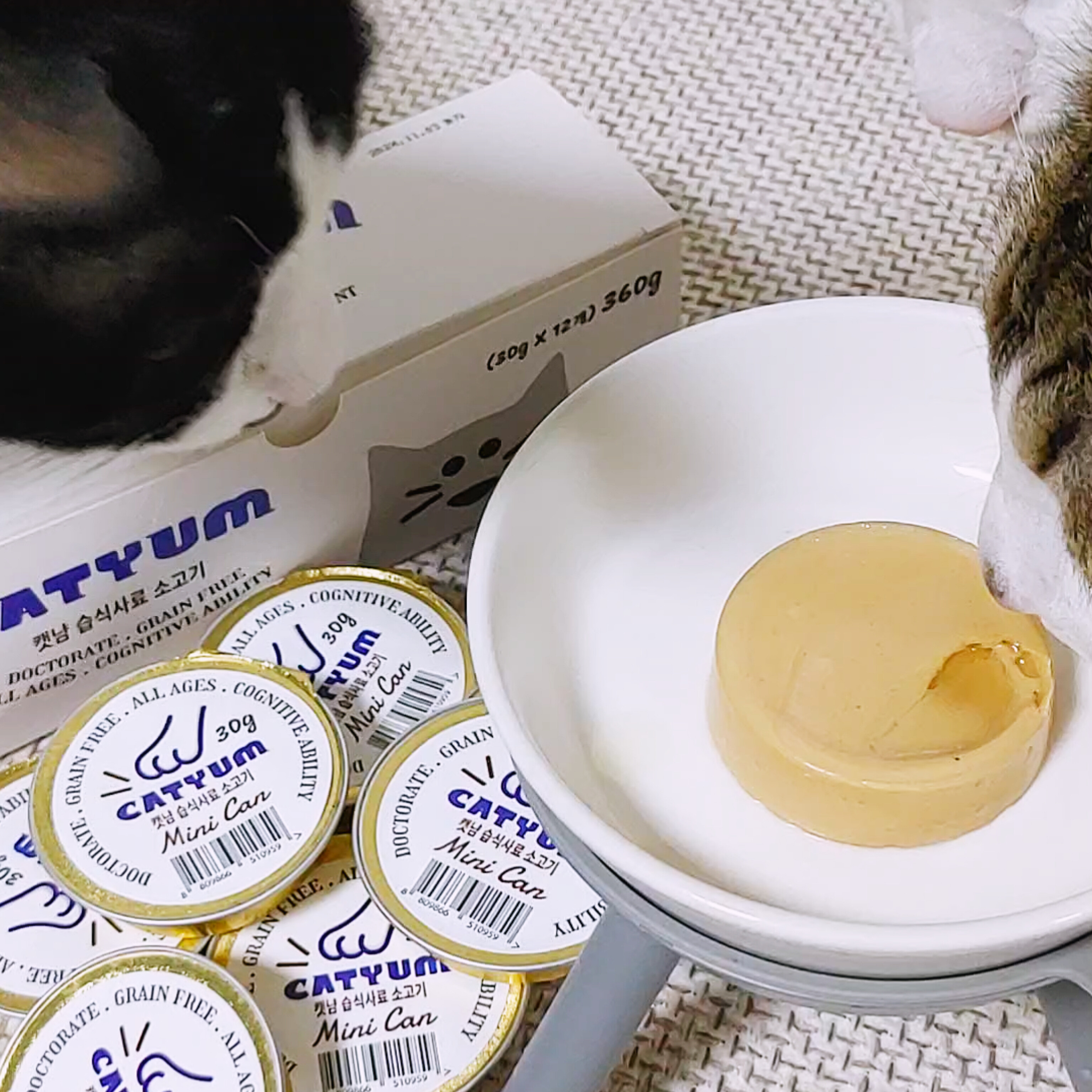 베러펫 캣냠 고양이 습식사료 고양이캔 연어+황태+참치 1080g 이미지 6