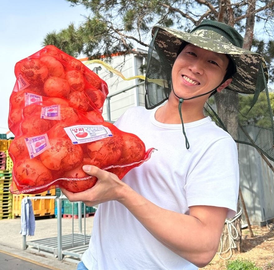 26년 양파 햇양파 무안양파 국내산 3kg 5kg 15kg 가격 추이 명품야채 26년 양파 햇양파 무안양파 국내산 3kg 5kg 15kg - 최저가 7,800원