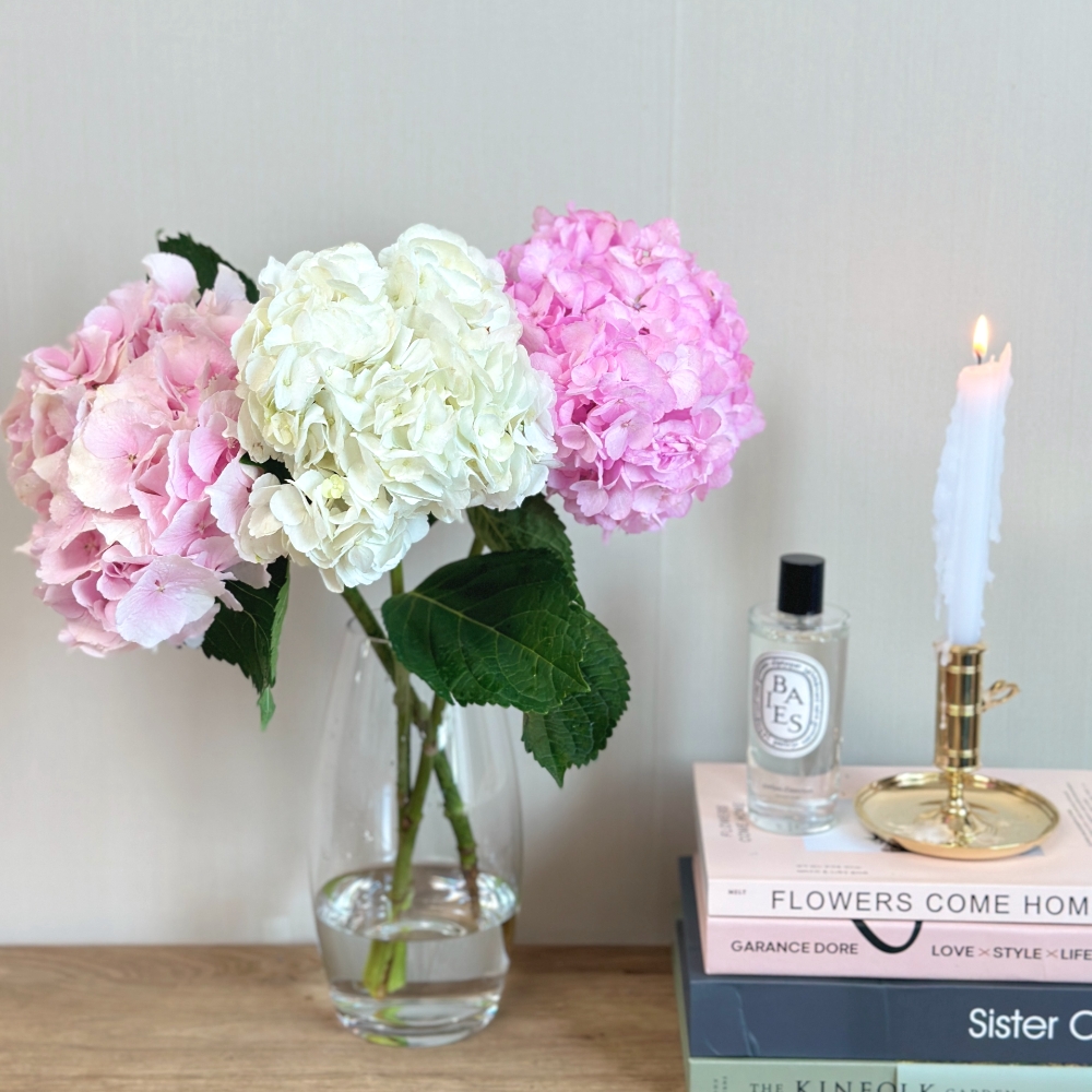 리틀캠든 수국 생화 꽃다발 택배배송