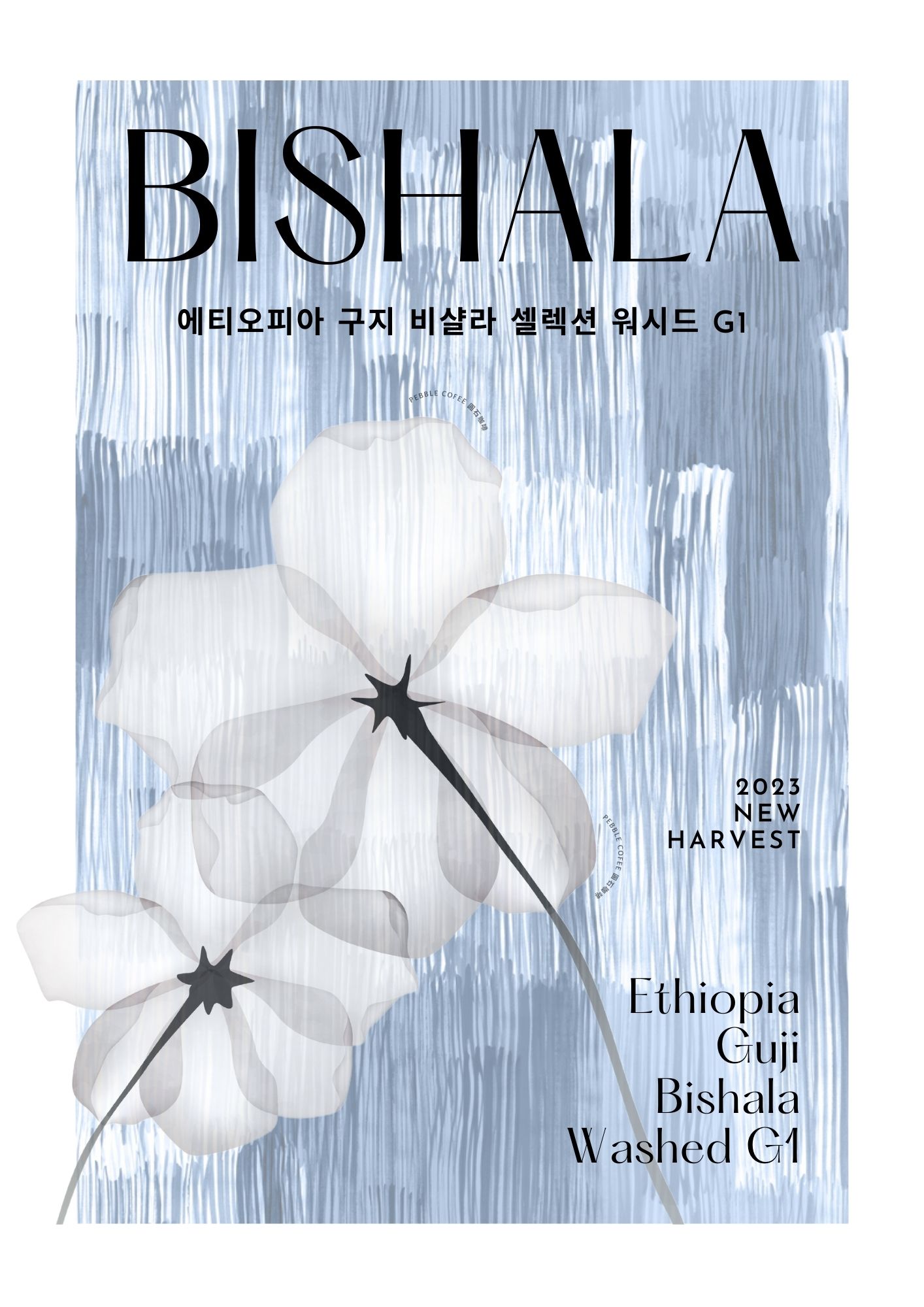 에티오피아 구지 비샬라 셀렉션 워시드 G1 1KG (ETHIOPIA GUJI BISHALA SELECTION WASHED G1)