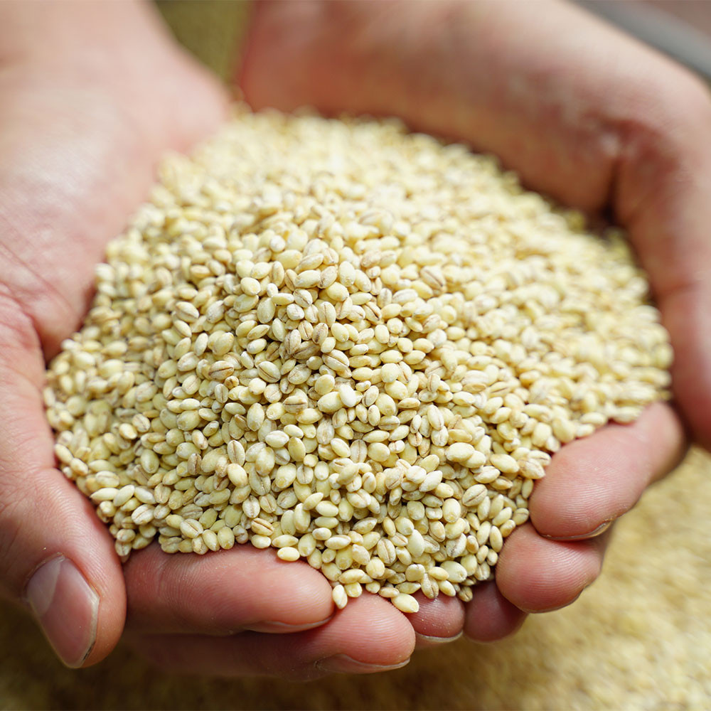 267016872855928 1181149020