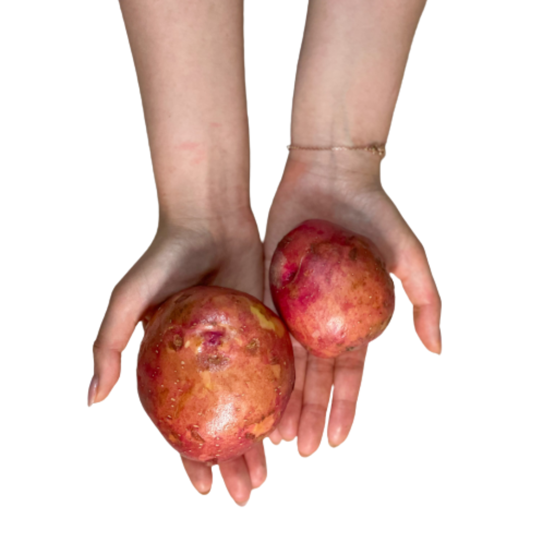 https://shop-phinf.pstatic.net/20230612_59/1686532012733rH34l_PNG/2312985621479083_1251548830.png