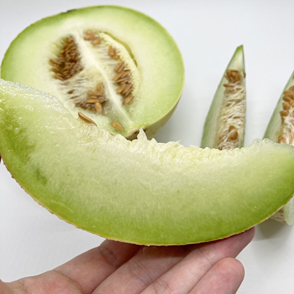 하니원멜론 허니듀메론 1.5kg 3kg 4kg 5kg 6kg 8kg 수입산 국내산 이미지 6