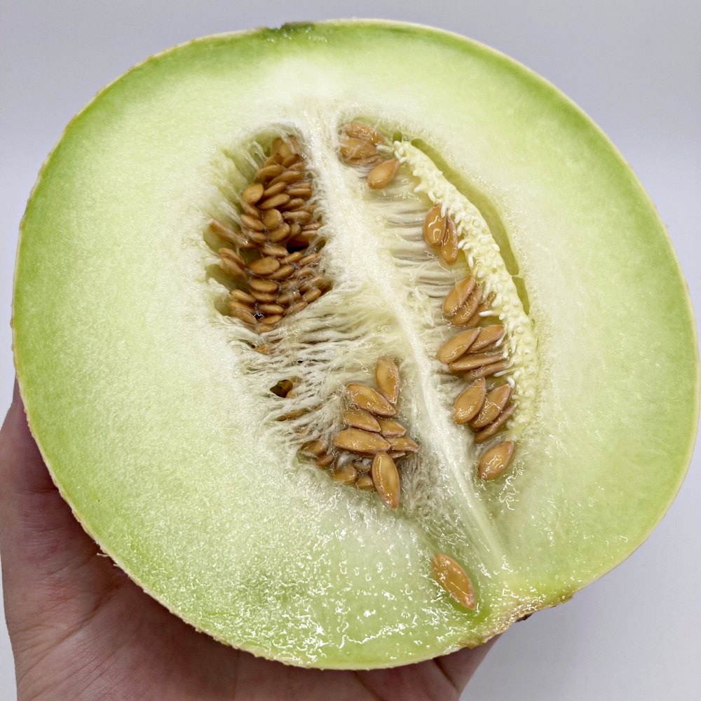 하니원멜론 허니듀메론 1.5kg 3kg 4kg 5kg 6kg 8kg 수입산 국내산 이미지 8