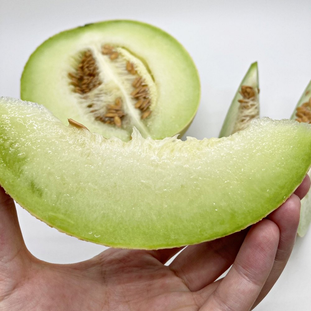 하니원멜론 허니듀메론 1.5kg 3kg 4kg 5kg 6kg 8kg 수입산 국내산 이미지 7