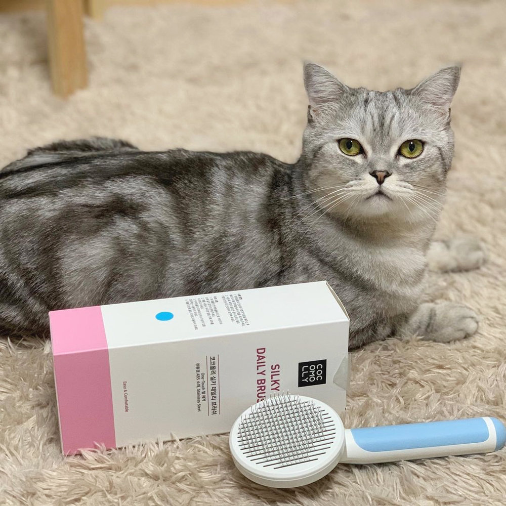 코코몰리 원터치 실키 데일리 강아지 고양이 브러쉬 이미지 4