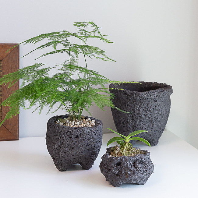 화산석 현무암 돌화분 다육 미니 화분 이미지 2