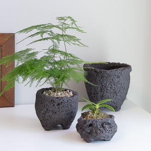 화산석 현무암 돌화분 다육 미니 화분 실사용 후기 | 효과 있을까? - 상품 이미지 2