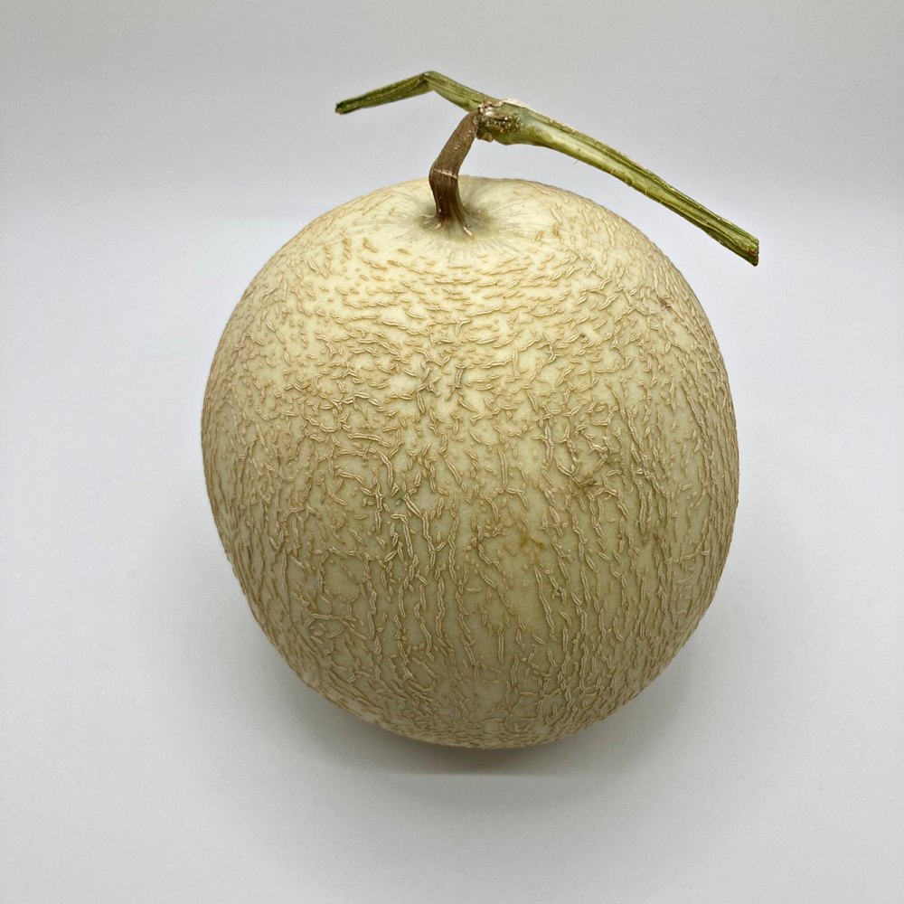 하니원멜론 허니듀메론 1.5kg 3kg 4kg 5kg 6kg 8kg 수입산 국내산 - 상세 이미지 2