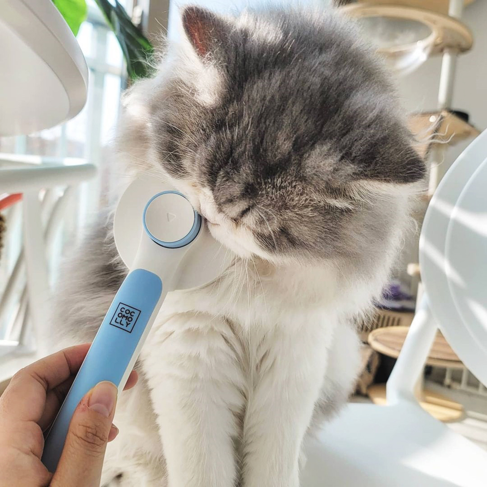 코코몰리 원터치 실키 데일리 강아지 고양이 브러쉬 이미지 2