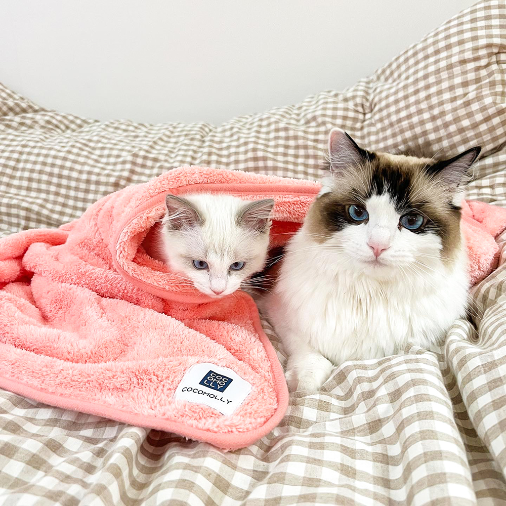 [특대형]코코몰리 초극세사 고양이 강아지 대형견 목욕 털말리기 펫타올 가운 수건 이미지 6