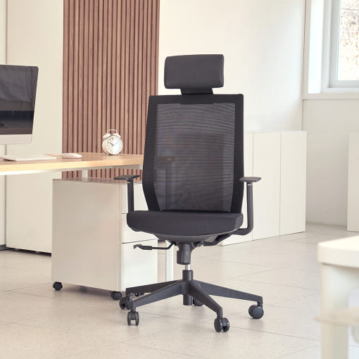 올즈 코이의 헤드레스트 및 요추지지대 이미지