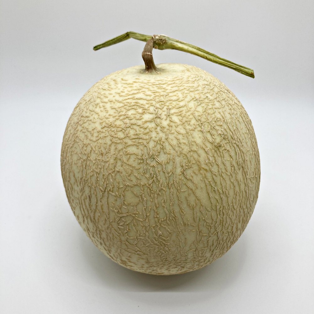 하니원멜론 허니듀메론 1.5kg 3kg 4kg 5kg 6kg 8kg 수입산 국내산 - 상세 이미지 3