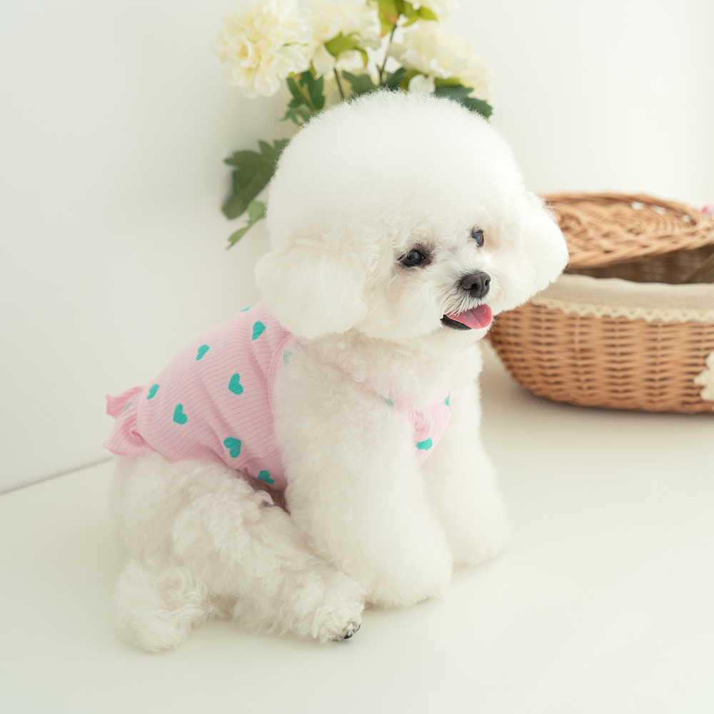 강아지옷 강아지여름옷 러브프릴나시티 이미지 7