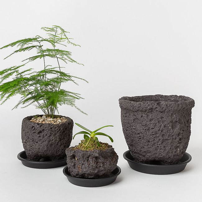 화산석 현무암 돌화분 다육 미니 화분 이미지 3