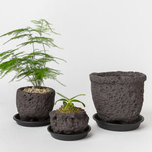 화산석 현무암 돌화분 다육 미니 화분 실사용 후기 | 효과 있을까? - 상품 이미지 3