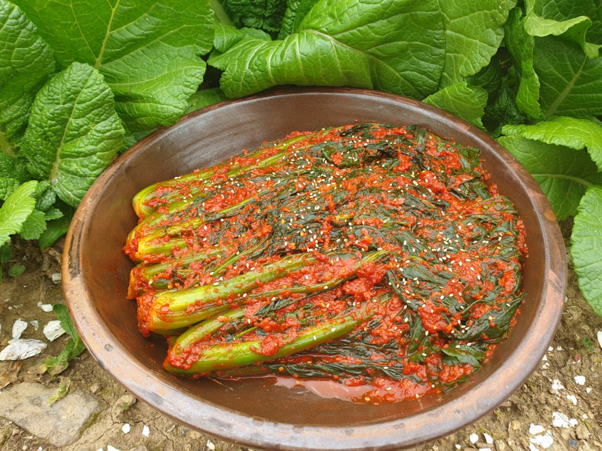 먹음직스러운 갓김치를 만나보세요❤️?️❤️