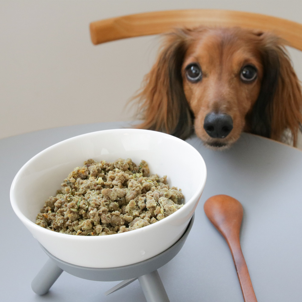 강아지화식 초신선 주문제조 오밀오밀 로우키친 세트 노견 자연식 양고기, 100g, 8개