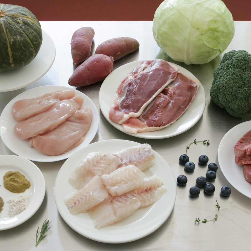 강아지화식 초신선 주문제조 오밀오밀 로우키친 세트 노견 자연식 양고기, 100g, 8개