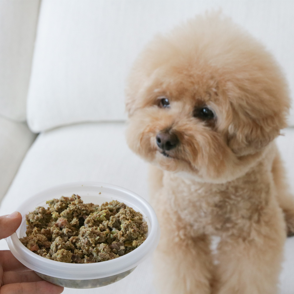 강아지화식 초신선 주문제조 오밀오밀 로우키친 세트 노견 자연식 양고기, 100g, 8개