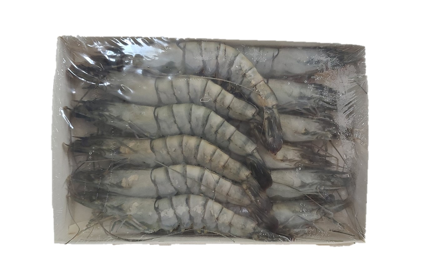 블랙타이거 새우 12미 500g 냉동 얼룩새우 킹 대왕 킹타이거새우